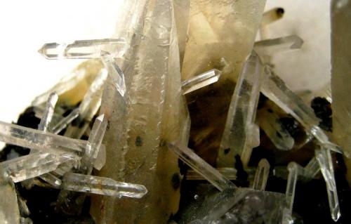 Quartz on hematite
Jinlong hill, Guangdong Province, China
FOV 60 mm (Author: Tobi)