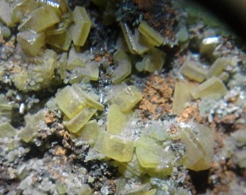 Wulfenita
Mina Ojuela, Mapimí, Durango, México
36 mm x 41 mm x 40 mm
Los cristales miden 4 mm (Autor: williams antonio pulido)