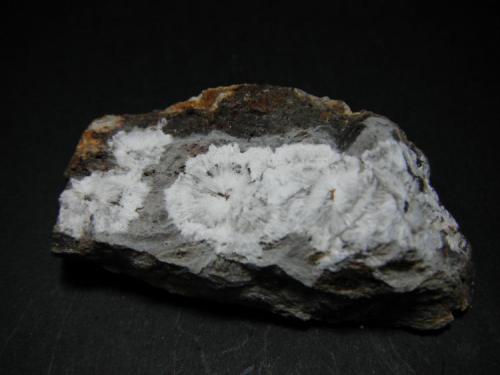 Alhumohidrocalcita.
Pedrera Asland, Turó de Montcada, Montcada i Reixach, Vallès Occidental, Barcelona, Catalunya, España.
5 x 3 cm. (Autor: Carles Rubio)