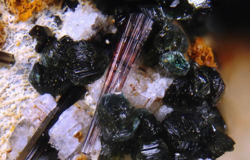 Hornblenda y clorita
Cobdar, Almería, Andalucía, España.
Ancho de la foto 3,5 mm. (Autor: Juan Miguel)