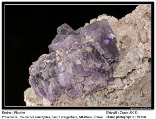 Fluorite (purple)
Glacier des Amethystes, Bassin d’Argentière, Mont Blanc, France
fov 50 mm (Author: ploum)