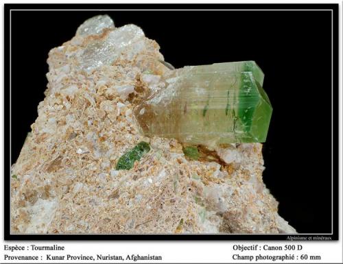 Tourmaline
Kunar, Nuristan, Afghanistan
fov 60 mm (Author: ploum)