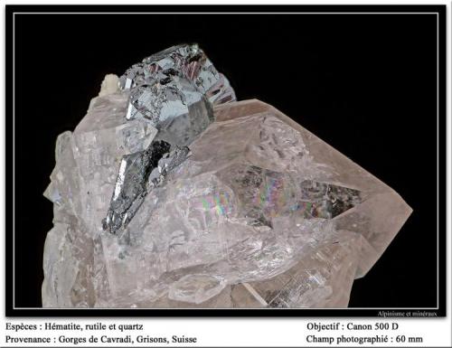 Hematite, rutile, quartz
Cavradi, Grisons, Switzerland
fov 60 mm (Author: ploum)