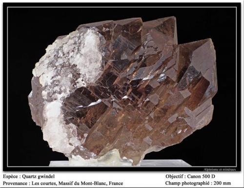 Gwindel quartz
Les Courtes, Mont Blanc, France
200 mm of fov (Author: ploum)