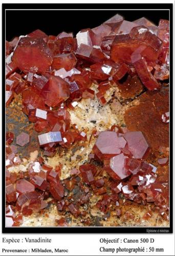 Vanadinite
Mibladen, Midelt, Maroc
fov 50 mm (Author: ploum)