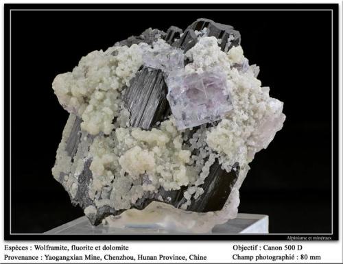 Wolframite, fluorite, dolomite
Yaoganxiang Mine, Hunan, Chenzhou, China
fov 80 mm (Author: ploum)