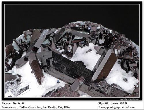 Neptunite
Dallas Gem Mine, San Benito Co., California, USA
fov 45 mm (Author: ploum)