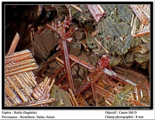 Rutile
Borthelhorn, Valais, Switzerland
fov 8 mm (Author: ploum)