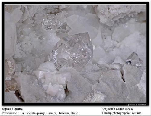 Quartz (diamond)
Carrara, Toscana, Italy
Fov 60 mm (Author: ploum)