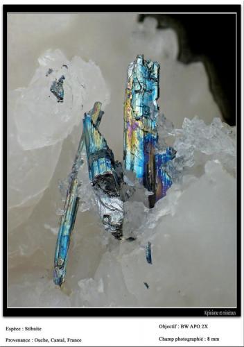 Stibnite
Ouche, Cantal, France
fov 8 mm (Author: ploum)