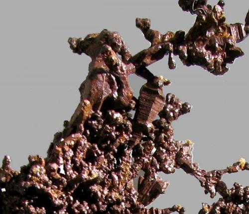 Cobre
Michigan, EEUU
60 x 65 x 9 mm. (Autor: José Luis Zamora)