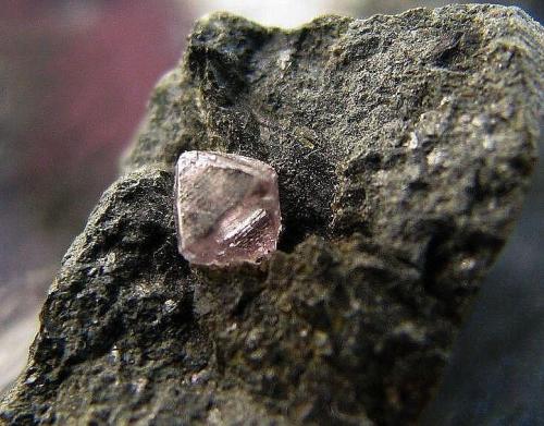 Diamante
Kimberley, Sudáfrica
35 x 20 x 20 mm
Cristal de 3 x 3 mm., sobre kimberlita (Autor: José Luis Zamora)