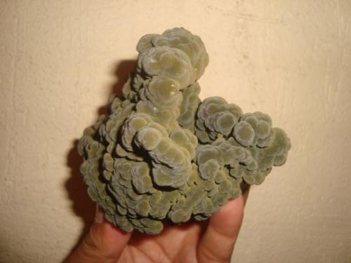 Mottramite
Ojuela Mine, Mapimí, Durango, Mexico.
11 cms. (Author: javmex2)