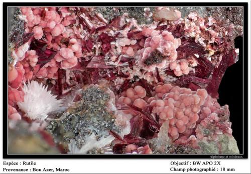 Erythrite
Bou Azer, Morocco
fov 18 mm (Author: ploum)