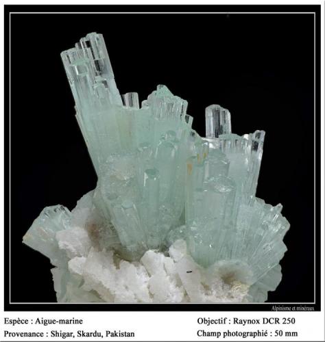 Beryl aquamarine
Shigar Valley, Pakistan
fov 50 mm (Author: ploum)