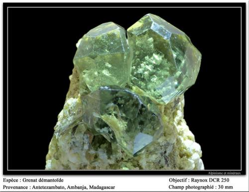 Andradite (variety Demantoid) garnet
Antetezambato, Ambanja, Madagascar
fov 30 mm (Author: ploum)