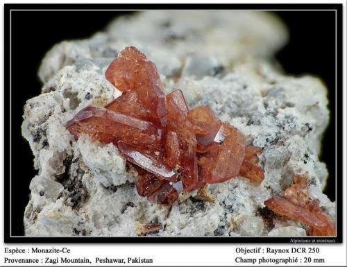 Monazite-(Ce)
Zagi mountain, Pakistan
fov 20 mm (Author: ploum)