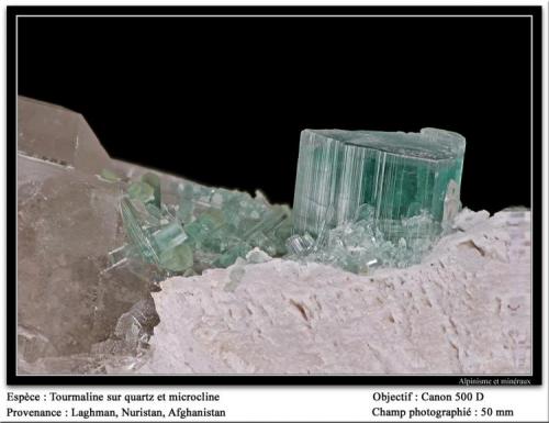 Tourmaline
Laghman, Afghanistan
fov 50 mm (Author: ploum)