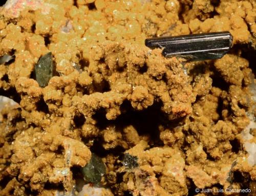 Vivianita, ludlamita y siderita. 
Cantera Brunita. Sierra Minera de Cartagena-La Unión. La Unión. Murcia. España. 
13x9.5 cm. Cristal de vivianita 1 cm. Cristal mayor de ludlamita 0.4 cm. (Autor: Juan Luis Castanedo)