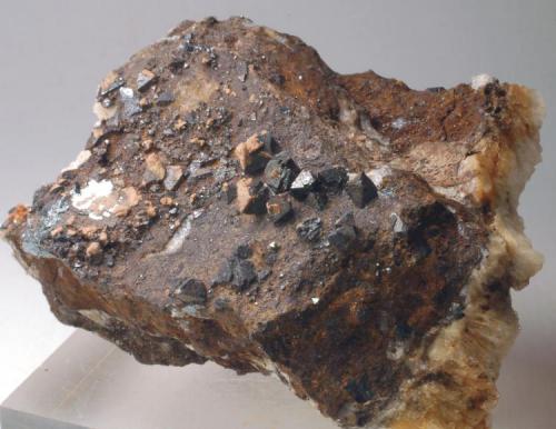 Magnetita
Cabezo Gordo - Torre Pacheco - Murcia - España
65 x 50 x 30 mm (Autor: Joan Martinez Bruguera)