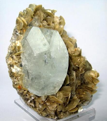 Berilo, moscovita
Mt Xuebaoding, Pingwu, Mianyang, Sichuan, China
100 mm x 70 mm (Autor: Carles Millan)