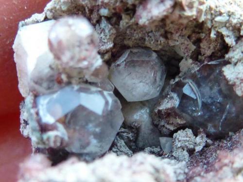 Analcima<br />Mina María, Minas Baños del Gilico, Cehegín, Comarca Noroeste, Región de Murcia (Murcia), España<br />3 x 2 cm, El cristal mayor 0,3 cm.<br /> (Autor: javier ruiz martin)