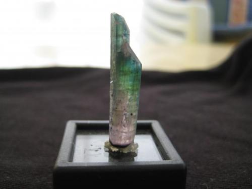 Elbaite
Mica mine, Pamir, Tajikistan
3,0x0,7x0,7 cm (Author: barbie90)