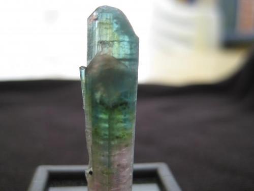 Elbaite
Mica mine, Pamir, Tajikistan
3,0x0,7x0,7 cm (Author: barbie90)