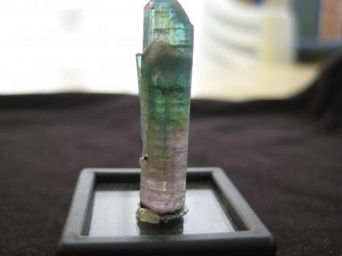 Elbaite
Mica mine, Pamir, Tajikistan
3,0x0,7x0,7 cm (Author: barbie90)