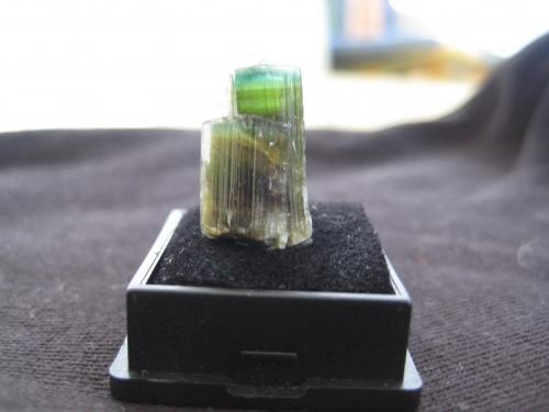 Tourmaline
Pakistan
16x8x9 mm (Author: barbie90)