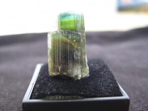 Tourmaline
Pakistan
16x8x9 mm (Author: barbie90)