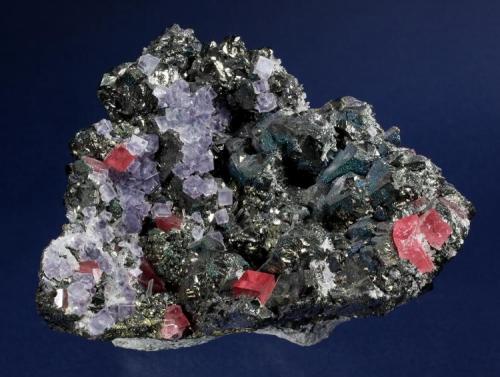 Tetrahedrite with Rhodochrosite, Fluorite, Quartz and minor Galena and Pyrite
Sweet Home Mine, Alma District, Buckskin Gulch, Park County, Colorado, USA
104 x 80 x 57 mm

Specimen consists of 14 mm Tetrahedrites with a bluish irridescence, accented by nearly transparent, cherry-red Rhodochrosites to 6 mm, and light purple cubes of Fluorite to 4 mm.  Clear needles of Quartz to 7 mm are also present.  Much of the dark matrix is comprised of 1 to 2 mm Galena and Pyrite crystals.  No damage. (Author: GneissWare)
