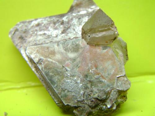 Moscovita y cuarzo
Belvís de Monroy - Cáceres - Extremadura - España
cristal de cuarzo 1 x 1 cm. (Autor: P. apita)