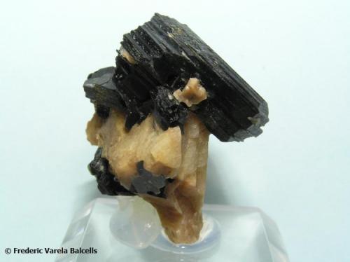 Mica (Flogopita) sobre calcita.
Arandis, Swakopmund, Erongo Region, Namibia.
3,2 × 2,8 × 3 cm. Cristal mayor 2,6 × 2,5 cm
Vista lateral de la pieza anterior. (Autor: Frederic Varela)