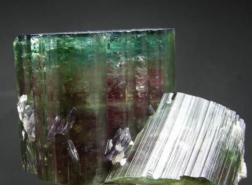 Elbaíta
Alto Ligonha - Zambezia - Mozambique
6 x 4.5 x 4 cm - Cristal mayor de 4.5 x 3.7 cm
Detalle (Autor: Diego Navarro)