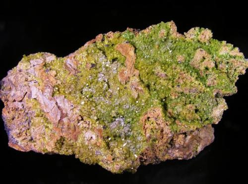 Piromorfita<br />Minas del General, Cabezarrubias del Puerto, Comarca Valle de Alcudia, Ciudad Real, Castilla-La Mancha, España<br />15 x 8 x 5 cm.  Cristales hasta 5 mm. en la parte frontal y hasta 7 mm. en la posterior.<br /> (Autor: Nacho)