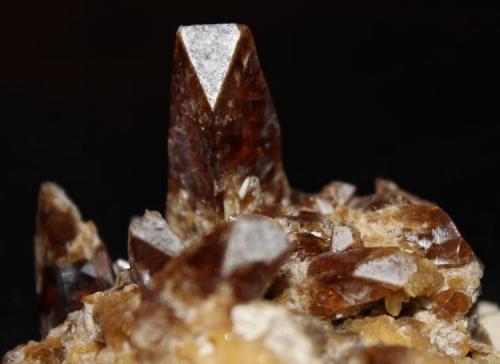 Golden Barite on Yellow Calcite
Elk Creek area, Meade County, South Dakota USA
4.1 cm longest crystal; overall specimen is 7.9 cm L x 6.8cm W, x 6.5 cm H. (Author: Chris Wentzell)
