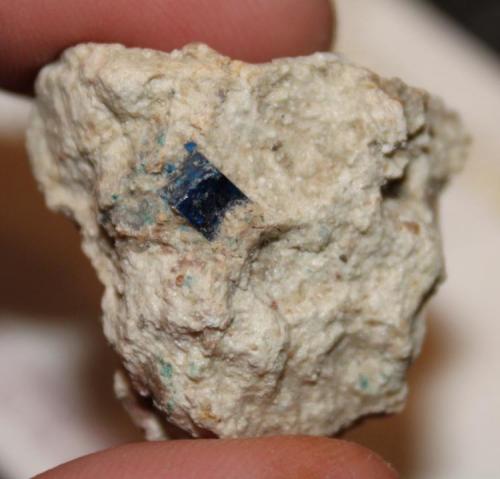 Boleite in Matrix
Amelia mine, Santa Rosalia, Mexico
4 mm crystal; overall specimen 2.8 cm (Author: Chris Wentzell)