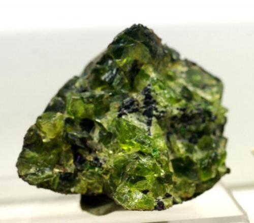 Olivino (Grupo)<br />Canet d´Adri, Comarca Gironès, Gerona / Girona, Catalonia / Catalunya, Spain<br />60 x 50 mm.<br /> (Autor: Jesus Franquesa Baucells)