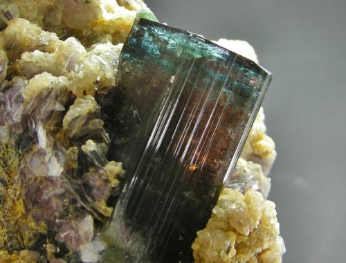 Elbaíta
Alto Ligonha - Zambezia - Mozambique
12 x 9 cm - Cristal  de  5 x 2.5 cm
Detalle (Autor: Diego Navarro)