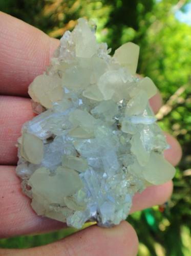 Quartz / Calcite on Matrix
Kingston (Old Quarry along the Hudson), New York,  USA
58x47x17 mm.
Pristine Specimen / No Damage (Author: NYFineMineralExchange)