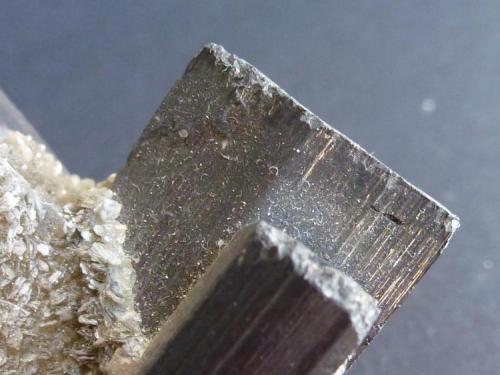 Ferberita, Cuarzo y Moscovita<br />Minas da Panasqueira, Aldeia de São Francisco de Assis, Covilhã, Castelo Branco, Cova da Beira, Centro, Portugal<br />5,5 x 3,5 cm.<br /> (Autor: javier ruiz martin)