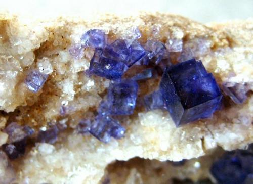 Fluorite
Caaschwitz, Thuringia, Germany
FOV 20 mm (Author: Tobi)