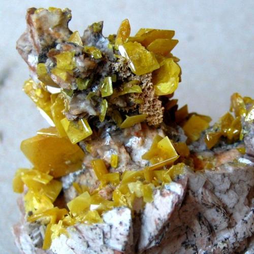 Wulfenite
Sidi Amer, Touissit, Touissit District, Oujda-Angad Province, Oriental Region, Morocco
FOV 35 mm (Author: Tobi)