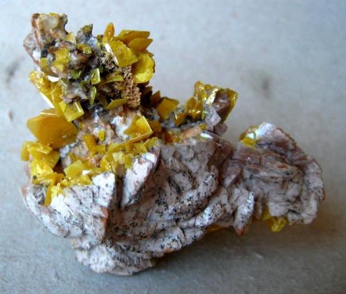 Wulfenite
Sidi Amer, Touissit, Touissit District, Oujda-Angad Province, Oriental Region, Morocco
Specimen width 70 mm, largest wulfenite crystal nearly 10 mm (Author: Tobi)