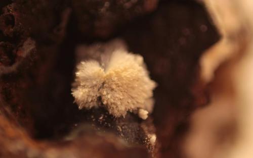 Strontianite
Cabeço D´Or, Bossot, Alicante, Spain
4,0 X 3,7 X 4,0 cm, ( the Cristal size is 0,7 X 0,5 cm) (Author: silvio steinhaus)