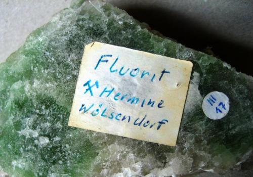 Fluorite, backside with older handwritten label
Hermine Mine, Wölsendorf, Bavaria, Germany
FOV 70 mm (Author: Tobi)