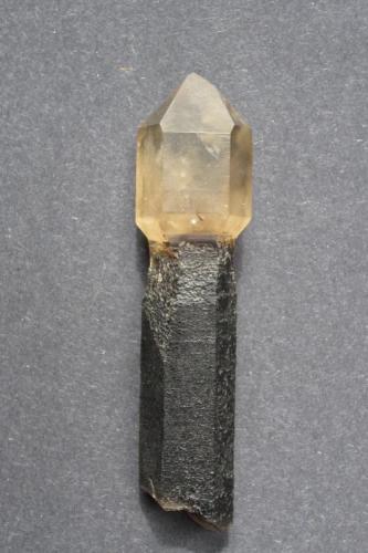 Quartz scepter
Petersen Mts., Washoe Co. Nevada, USA
8 cm. (Author: vic rzonca)