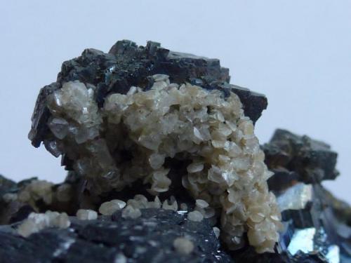 Esfalerita, Arsenopirita y Mica<br />Minas da Panasqueira, Aldeia de São Francisco de Assis, Covilhã, Castelo Branco, Cova da Beira, Centro, Portugal<br />7 x 7 cm<br /> (Autor: javier ruiz martin)