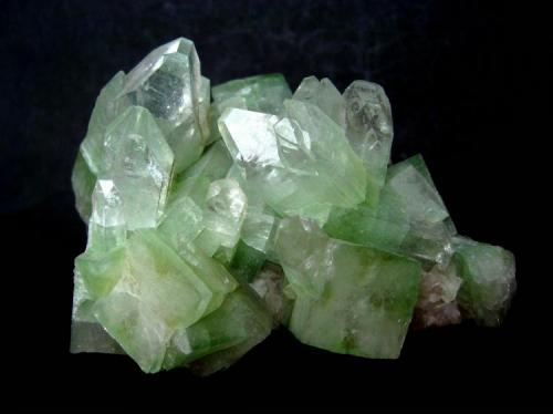 Apophyllite
Pune, Maharashtra, India
Specimen width 70 mm (Author: Tobi)